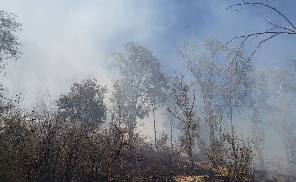 Alertan por incendios provocados en Bosque de Los Remedios