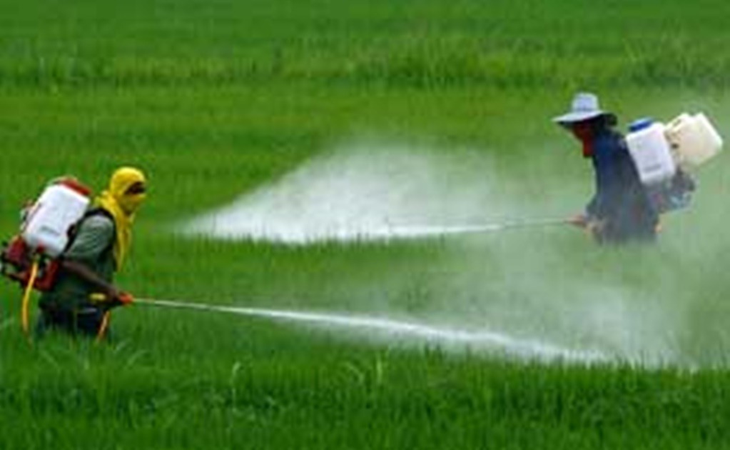Pobladores de Yucatán preocupados por uso de pesticidas