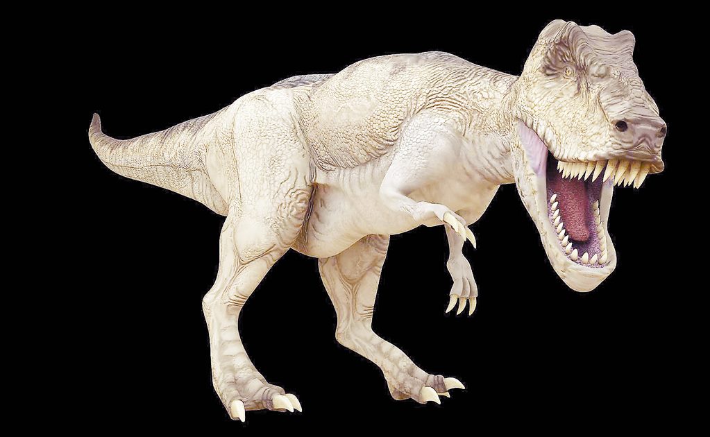 Lo que verás en Dinoexpertos en el Papalote Museo del Niño