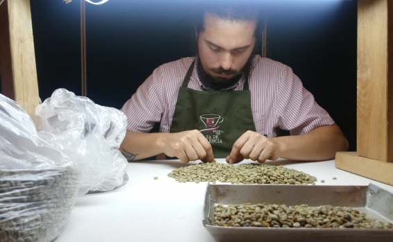 Cuarenta productores cafetaleros compiten para convertirse en el mejor de México
