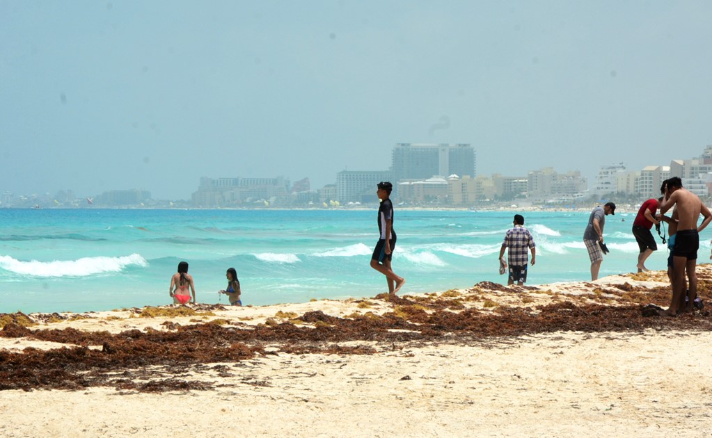 Giant sargassum formation approaches Mexican beaches