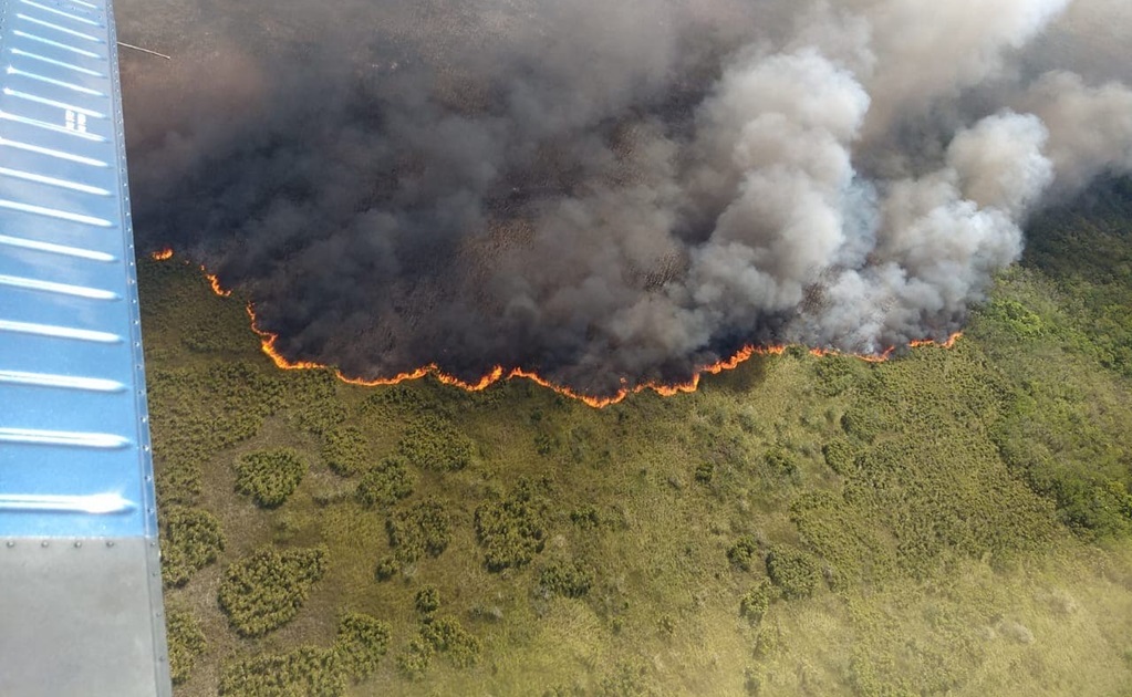Incendios consumen más de dos mil hectáreas en área natural protegida de Q.Roo