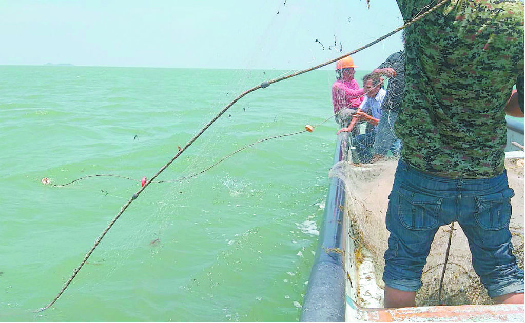 Por falta de respuesta, urgen pescadores permiso de captura