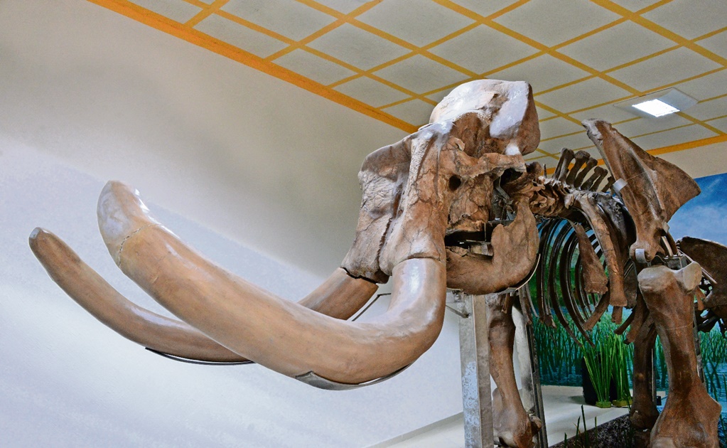 Tultepec’s Mammoth Museum to be expanded