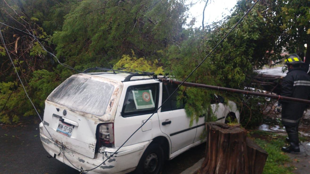 Tromba en Tecamac provoca caída de árboles y postes de luz