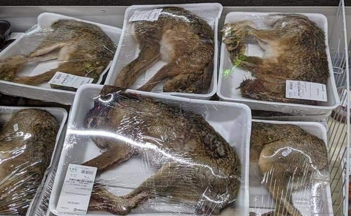 Photo of Indignación en Francia por el supermercado que vende animales enteros en bandejas