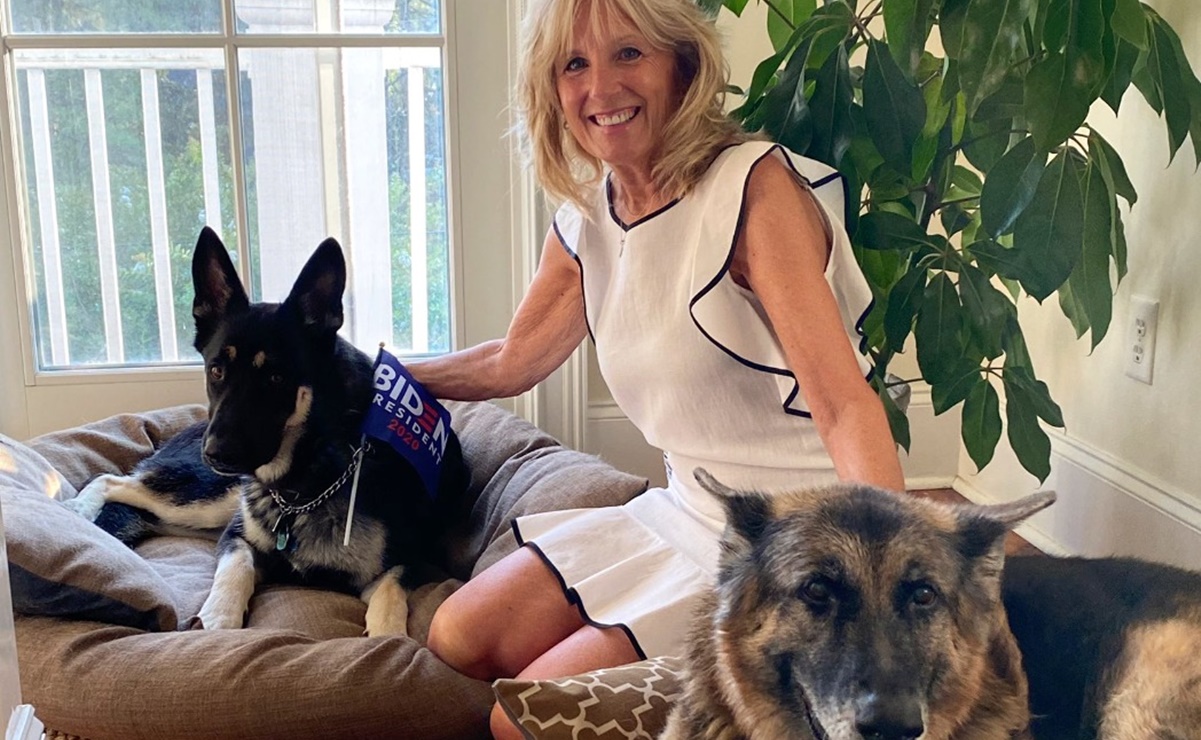 Champ y Major Biden: vuelven las mascotas a la Casa Blanca