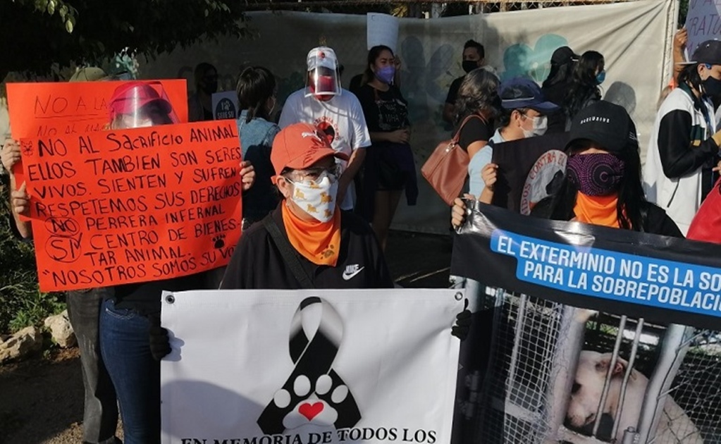 Los y las activistas de Mérida, pidieron cuidar y proteger la vida de los animales