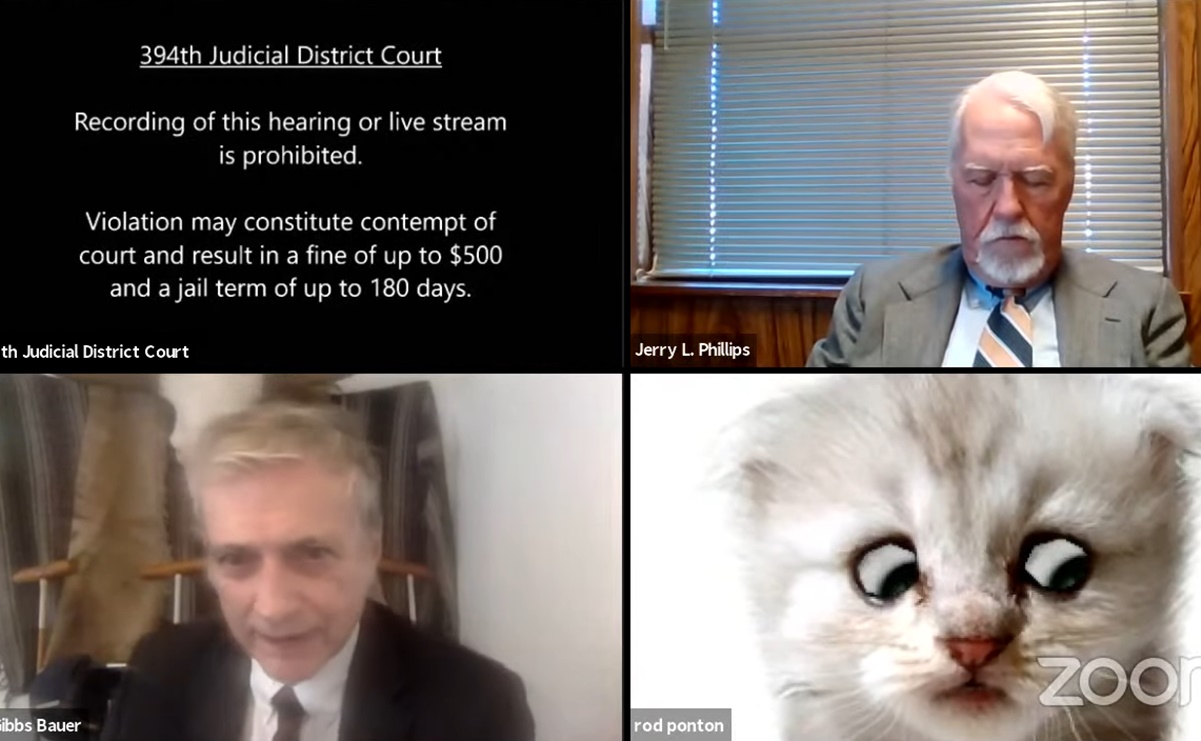 “I’m not a cat”, Texas lawyer appeared in audience with a filter and went viral