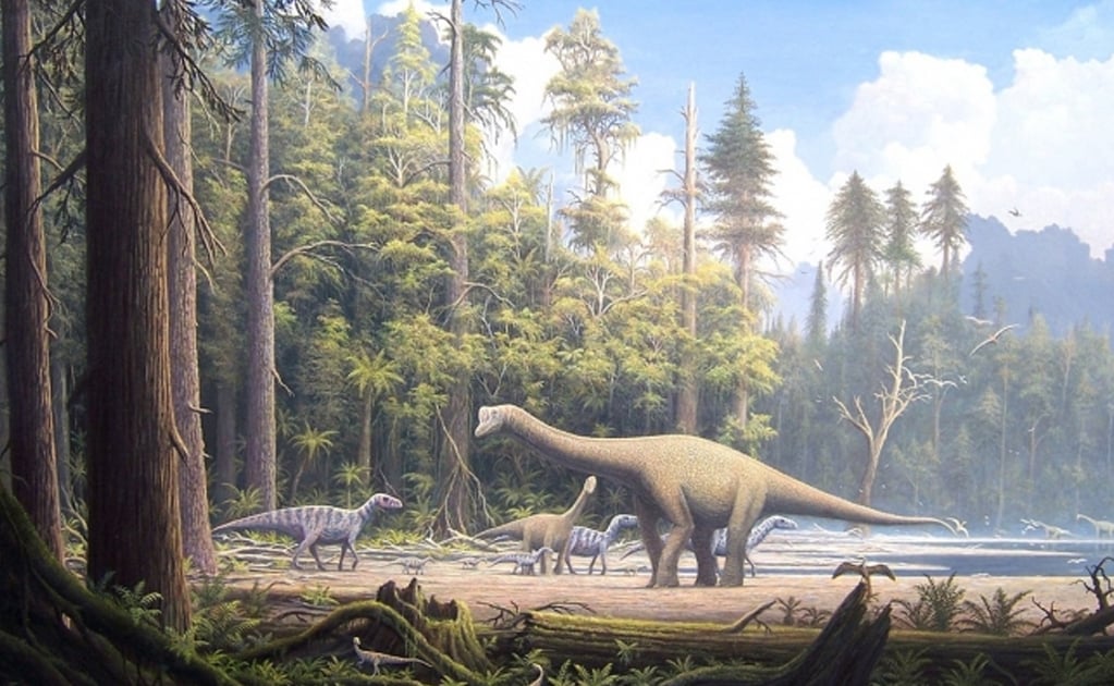 fosiles de dinosaurios