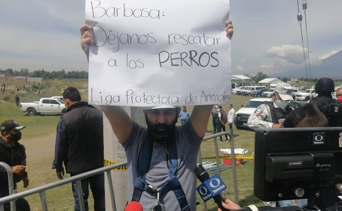 Rescatistas piden que les permitan sacar a los perritos del socavón en Puebla