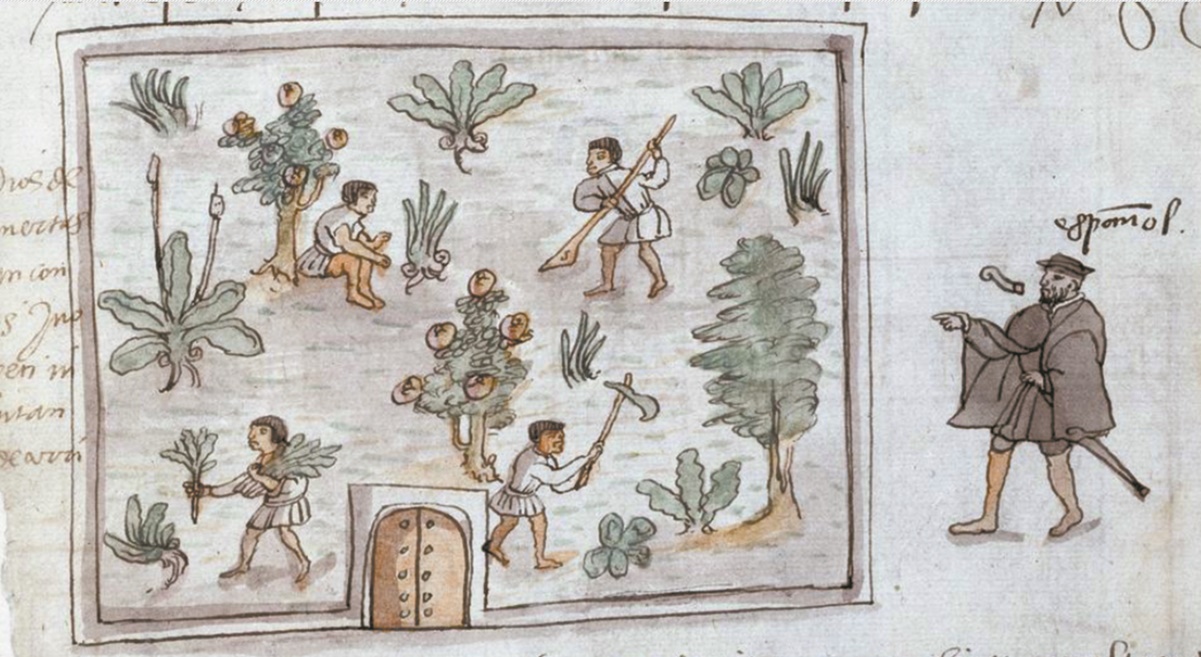 ¿Qué pasó tras la caída de Tenochtitlan? Historiador lo explica