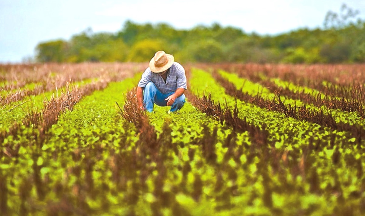 Reafirman México y EU importancia de la relación comercial agrícola