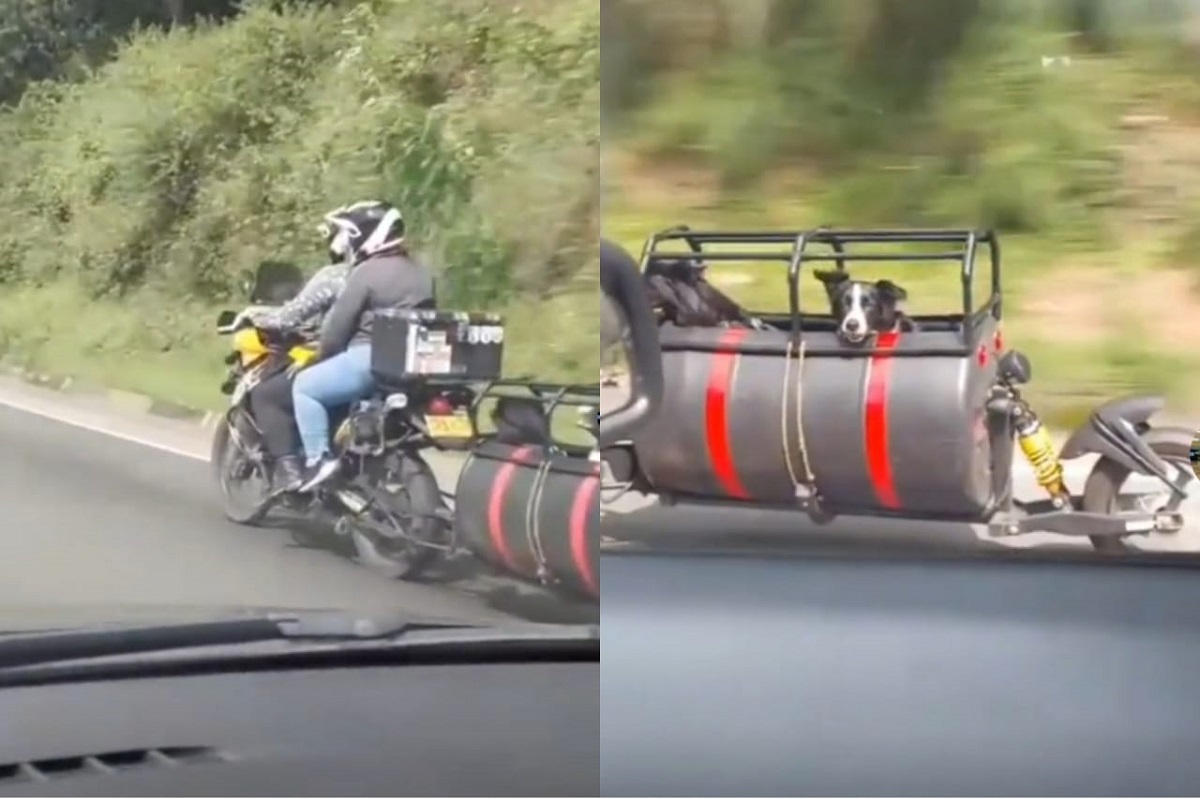 Pareja adapta su moto para viajar con sus perritos y se viralizan
