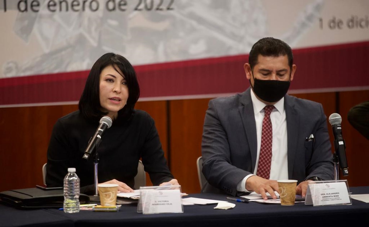Victoria Rodríguez Ceja, durante su comparecencia ante la comisión de Hacienda del Senado