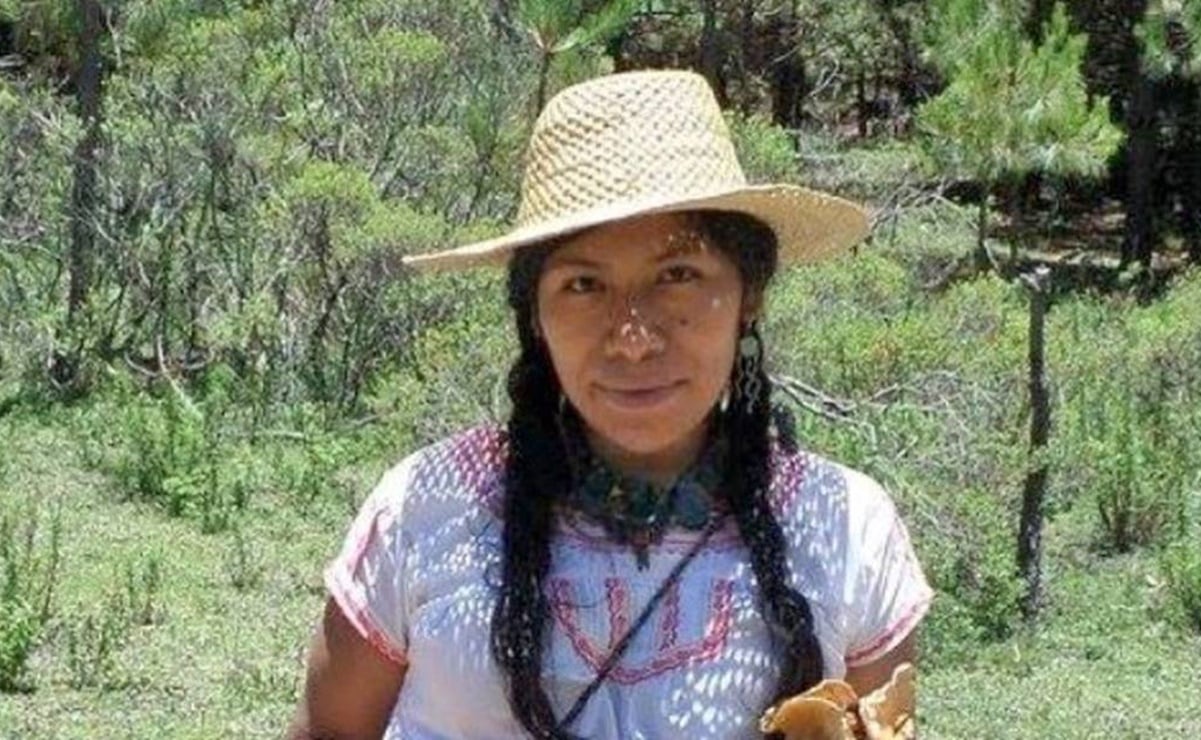 ONU emite acciones urgentes a favor de 5 personas desaparecidas en Atatlahuca, Oaxaca