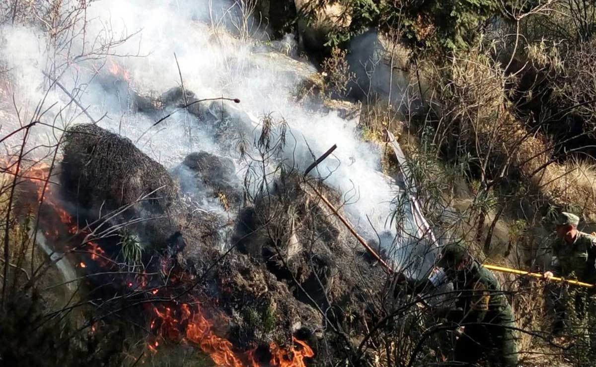 Incendio daña 450 hectáreas en el Parque Nacional Cumbres de NL