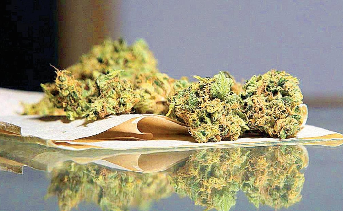 Corte declara inconstitucional castigar la posesión de más de 5 gramos de marihuana para consumo personal