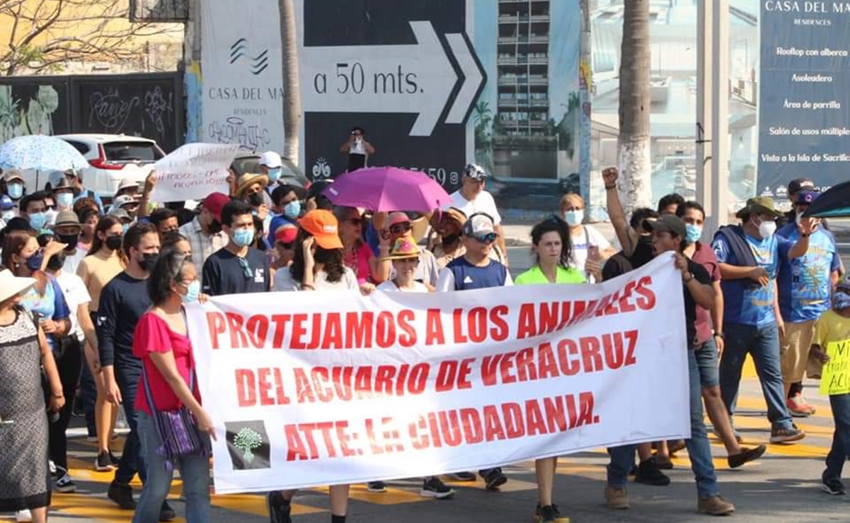 Acuario de Veracruz solicita intervención de Profepa ante clausura