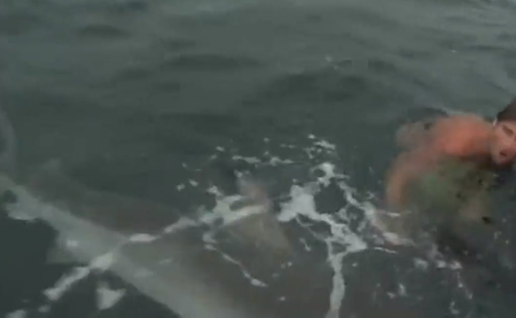 video.  A two-meter-long shark jumps on a yacht, causing panic among the crew