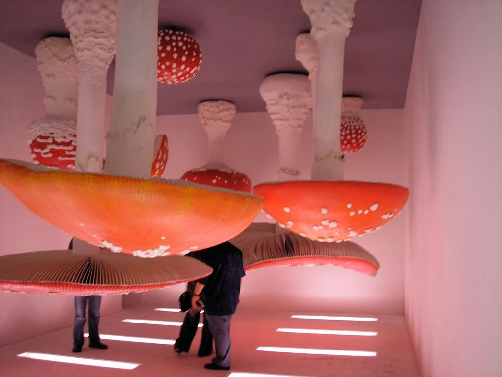 Llegan al Museo Tamayo los hongos gigantes de Carsten Höller