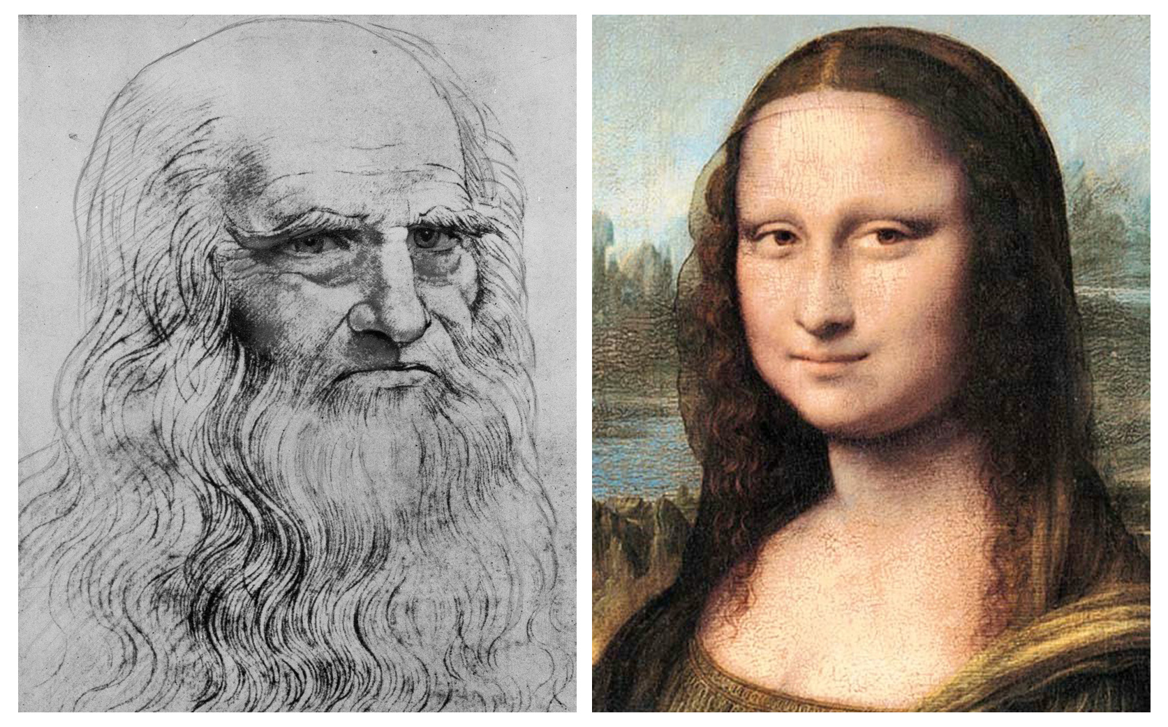 La rapidez visual de Da Vinci explicaría la sonrisa de la Mona Lisa