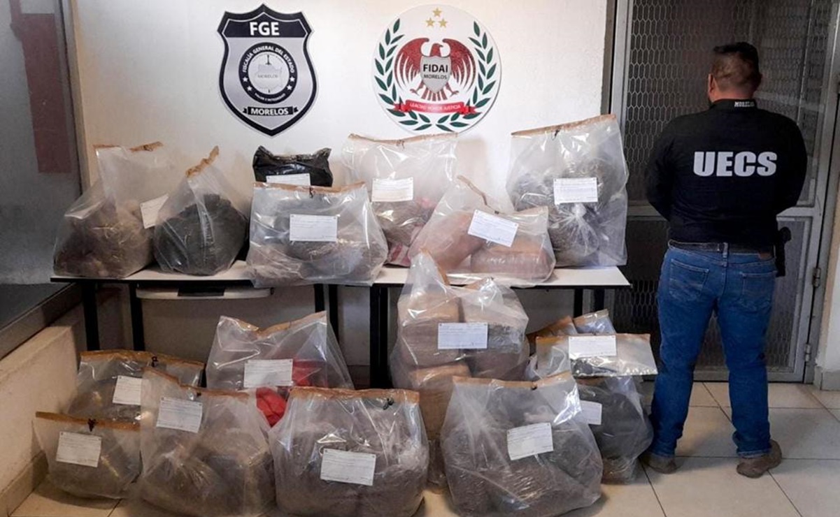 Decomisan casi 200 kilos de marihuana durante cateo en Morelos
