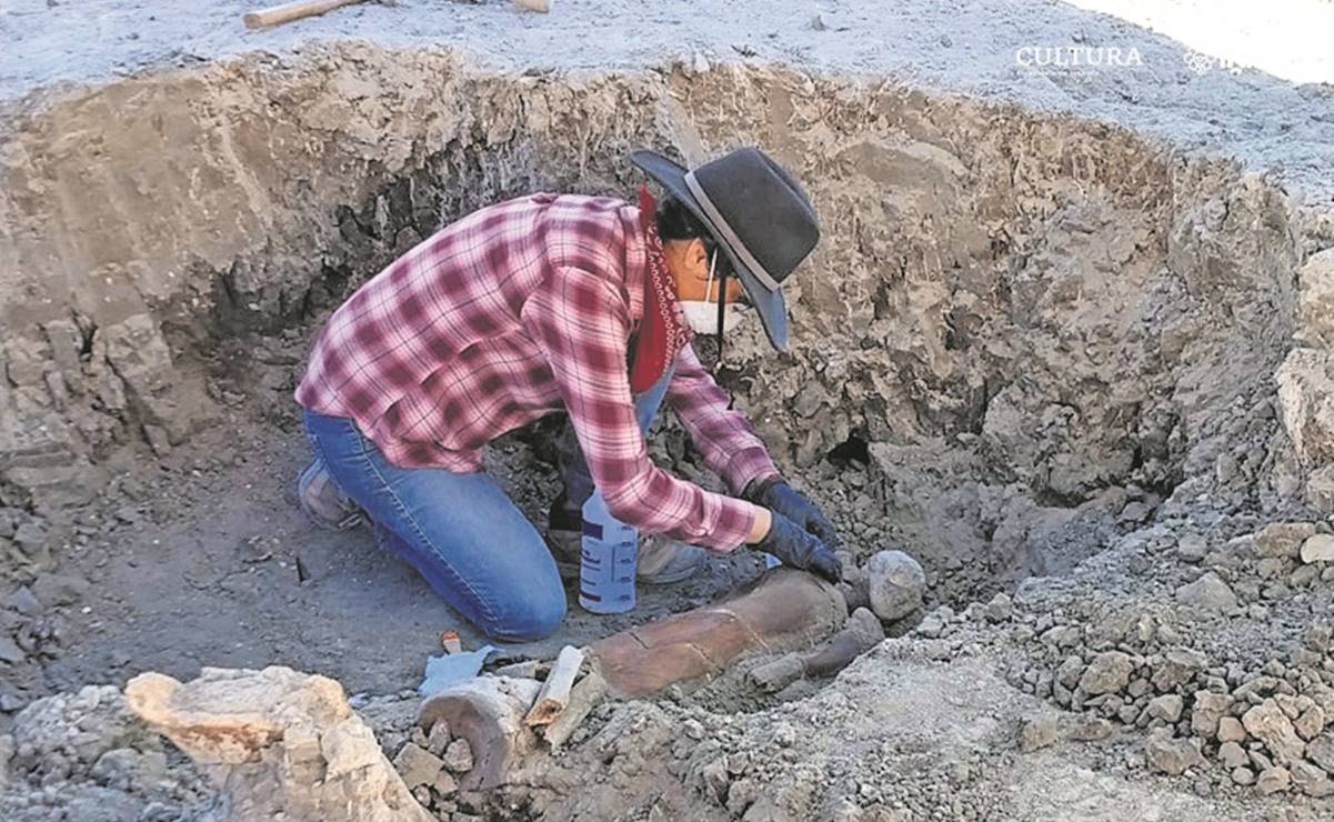 En abandono, restos arqueol&oacute;gicos en AIFA por falta de pago