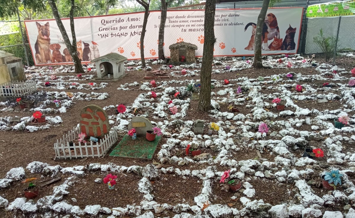 La tradición del Día de Muertos llega a cementerio de mascotas en Chiapas