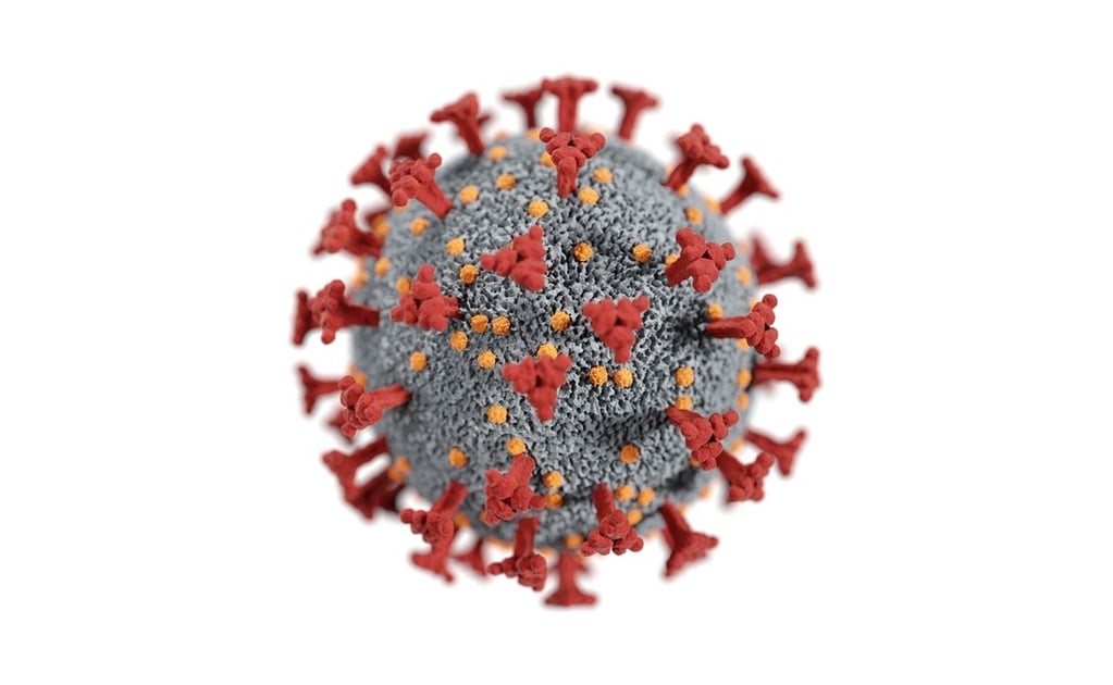 Esto es lo que sabemos acerca de la nueva variante de coronavirus "ómicron"
