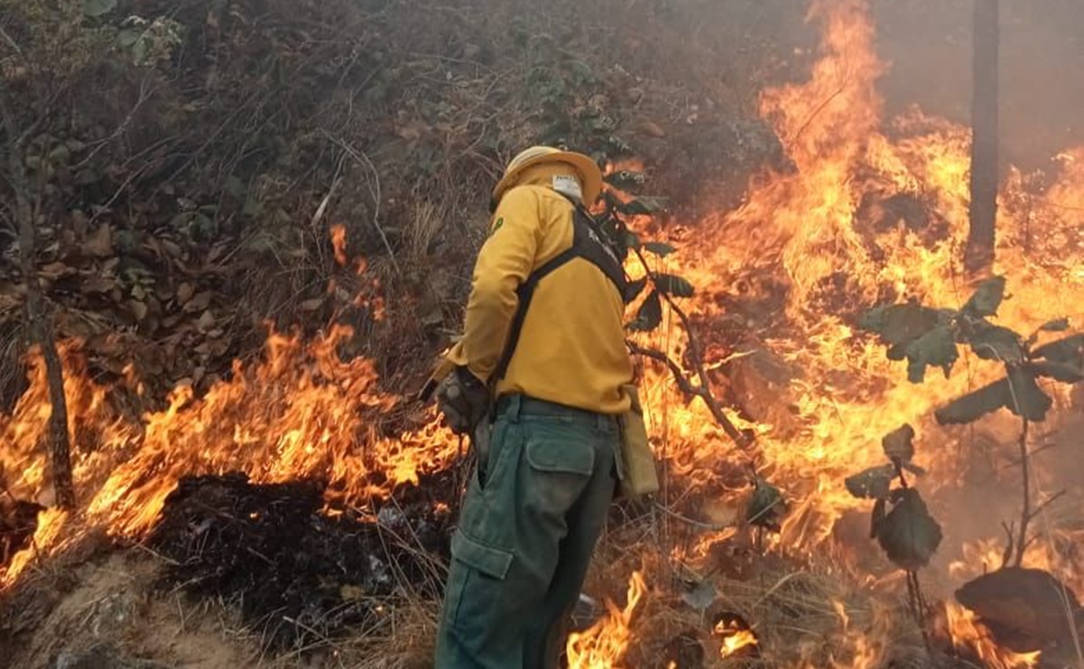Autoridades de Edomex cercan incendio forestal que llevan seis días combatiendo
