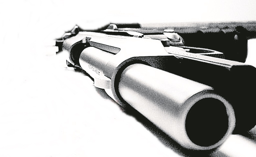 Propone PRI facilitar a familias acceso a armas de alto calibre para defenderse de la delincuencia