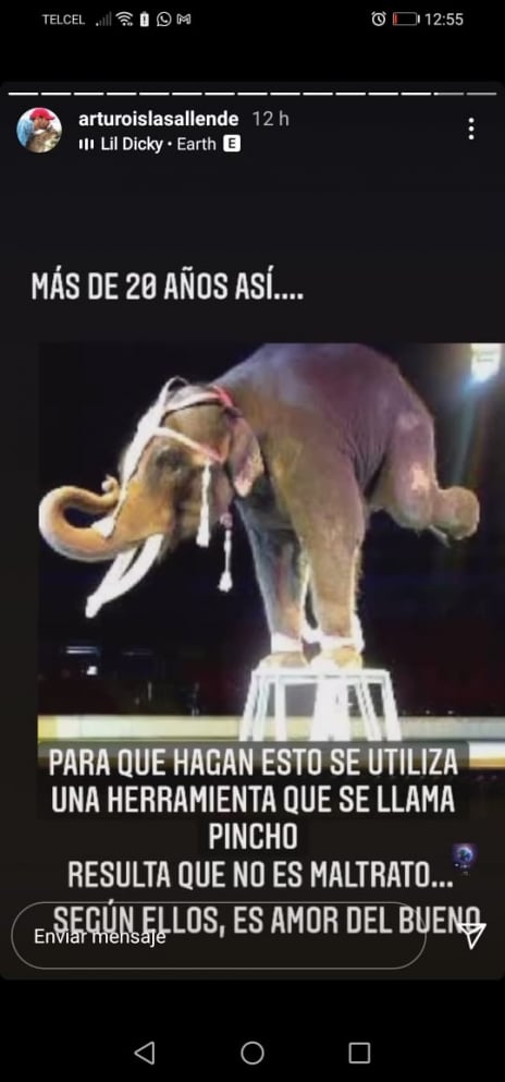 arturo islas1 - Acusan a Arturo Islas de "armar circo" en el rescate del elefante Big Boy