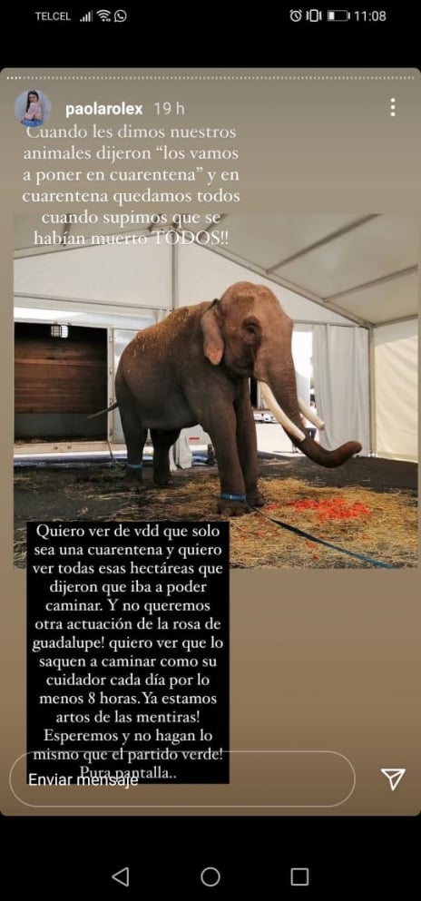 arturo islas2 - Acusan a Arturo Islas de "armar circo" en el rescate del elefante Big Boy