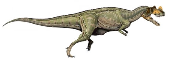 ceratosaurios_especia_dinosaurio.jpg
