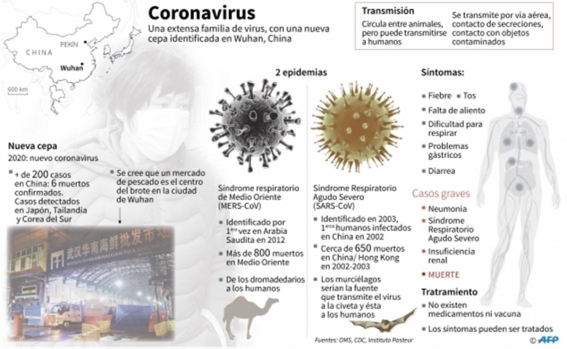 coronavirusimagenafp.jpeg