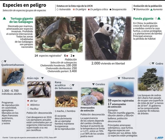 animales-medioambiente-biodiversidad.jpg