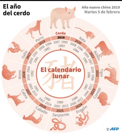Año del Cerdo 2019. ¿Qué animal del zodiaco chino soy según mi año de  nacimiento?