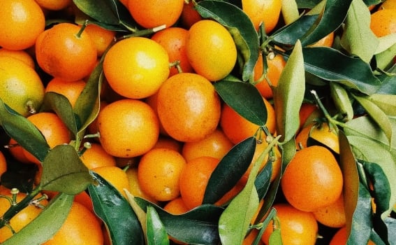 mandarina-1.jpg