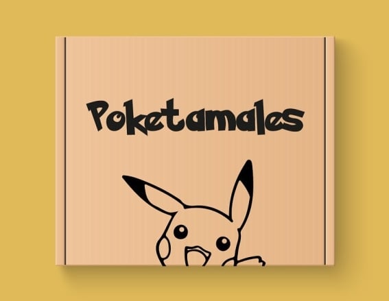 tamales_candelaria_pokemon_kitty_mandalorian_1.jpg