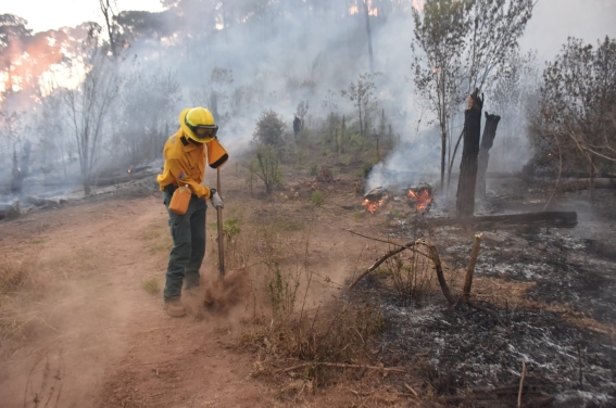 Controlan incendio en parque estatal de Valle de Bravo